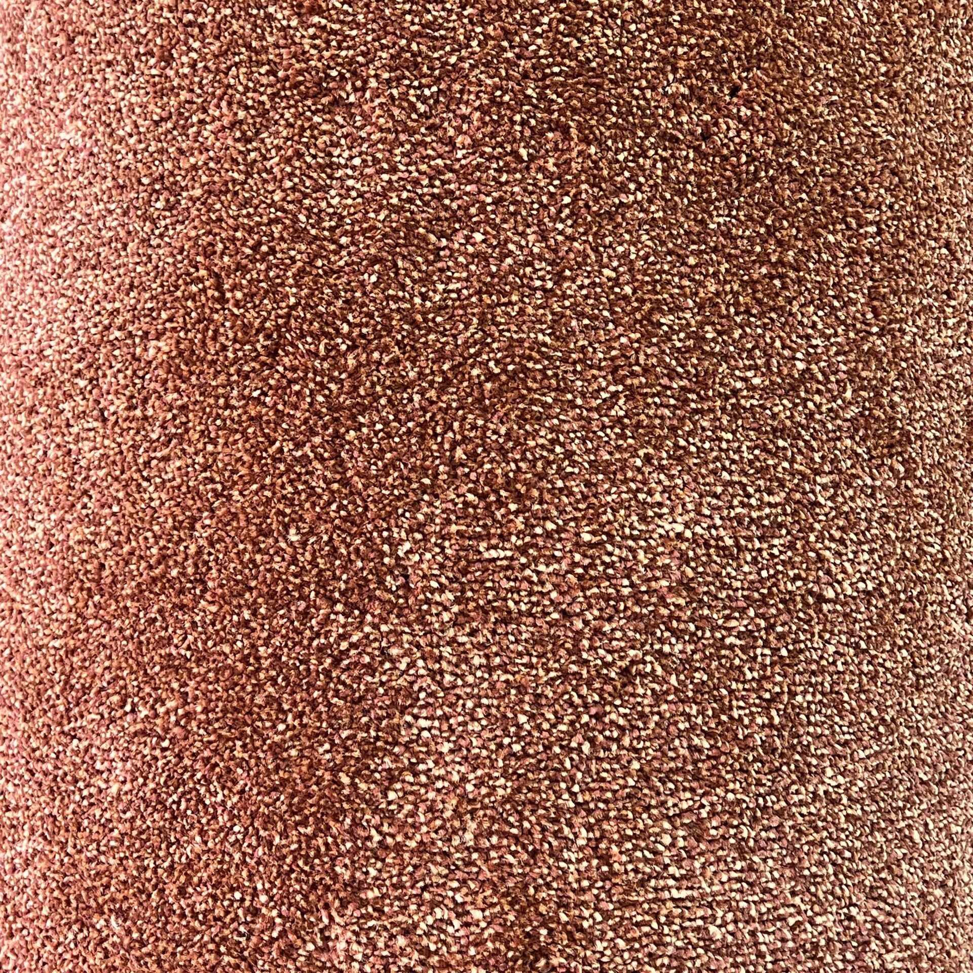 Premium quality home carpet adding warmth and comfort by Mostafawi Carpets