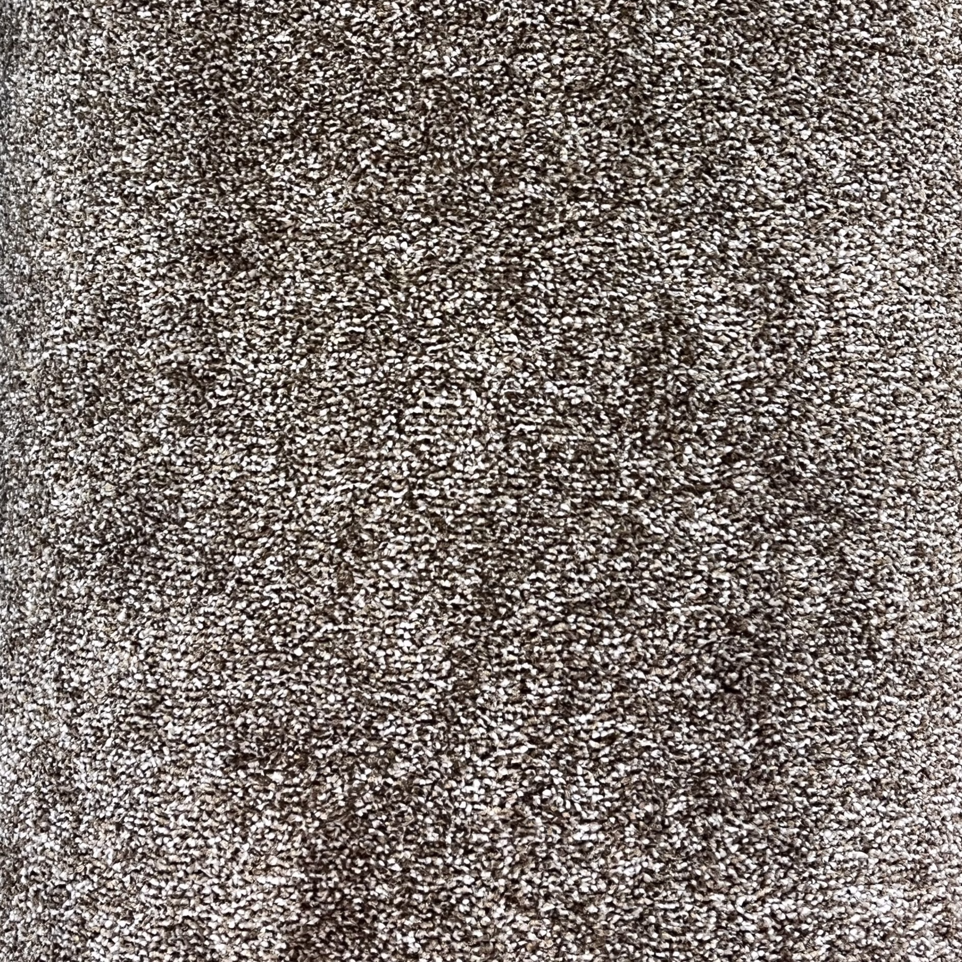 Premium quality home carpet adding warmth and comfort by Mostafawi Carpets