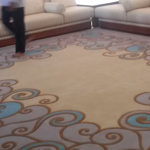 Best Hand Tufted Carpet in Dubai Modern Family Room Carpet